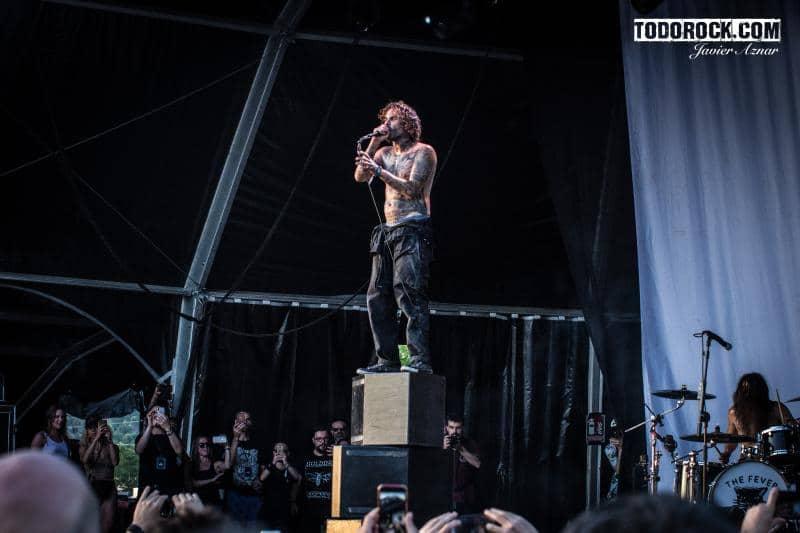 Fever 333