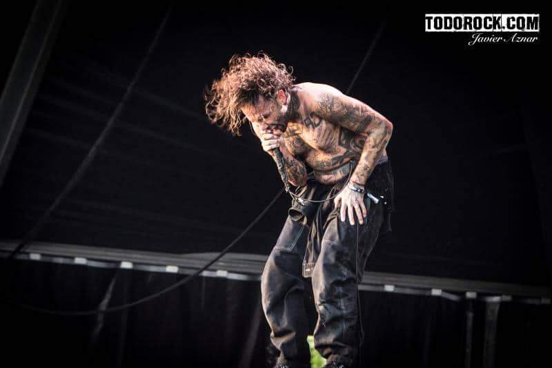 Fever 333