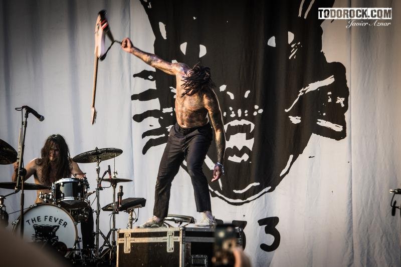 Fever 333