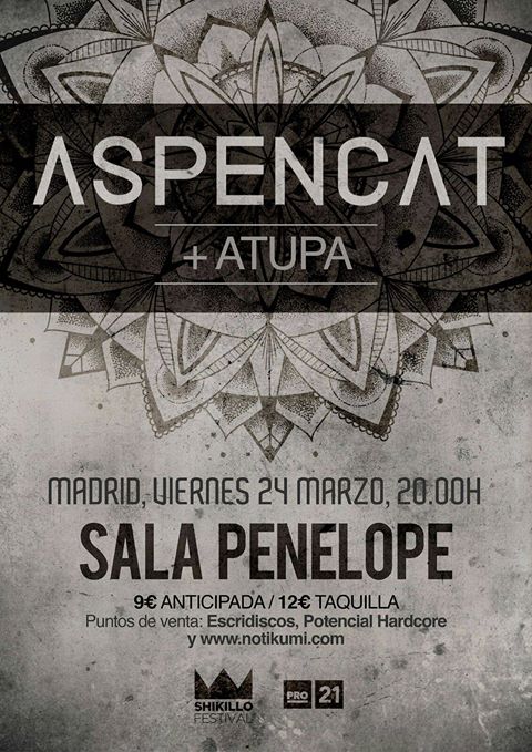 Aspencat