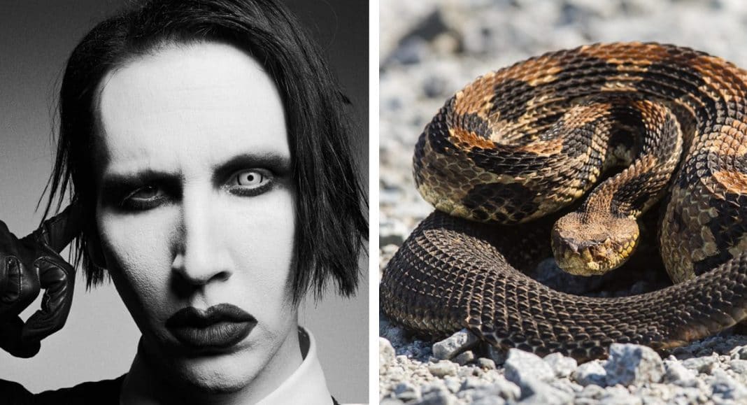 Curiosidades del Rock: SLAYER, ZZ TOP, MARILYN MANSON y NAPALM DEATH Curiosidades del Rock: SLAYER, ZZ TOP, MARILYN MANSON y NAPALM DEATH