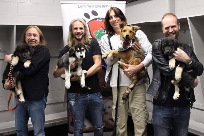 Judas Priest en el centro Lucky Paws Dog Rescue. Foto: Sherry Kiss JUDAS PRIEST visita un centro de rescate canino en Canadá (Fotos)