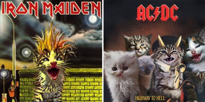portadas-rock-metal-gatos